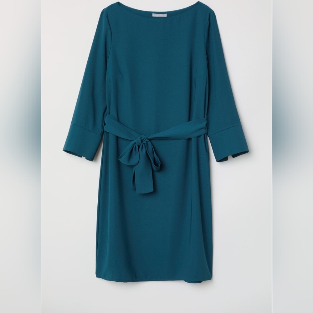 H&M Dress with Belt